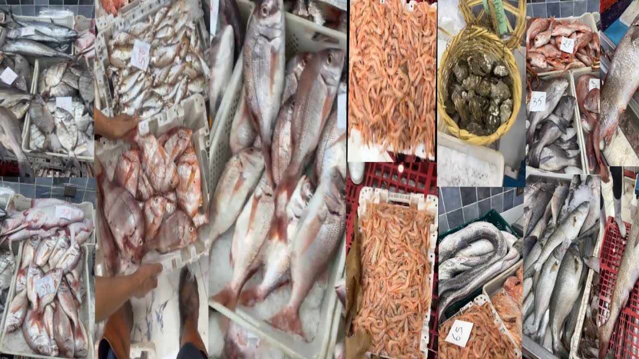 ثمن السمك بالمغرب🐙🦐اليوم الأحد 4 فبراير 2024#المغرب🇲🇦#سوق_المغربPoisson de qualité à prix abordable
