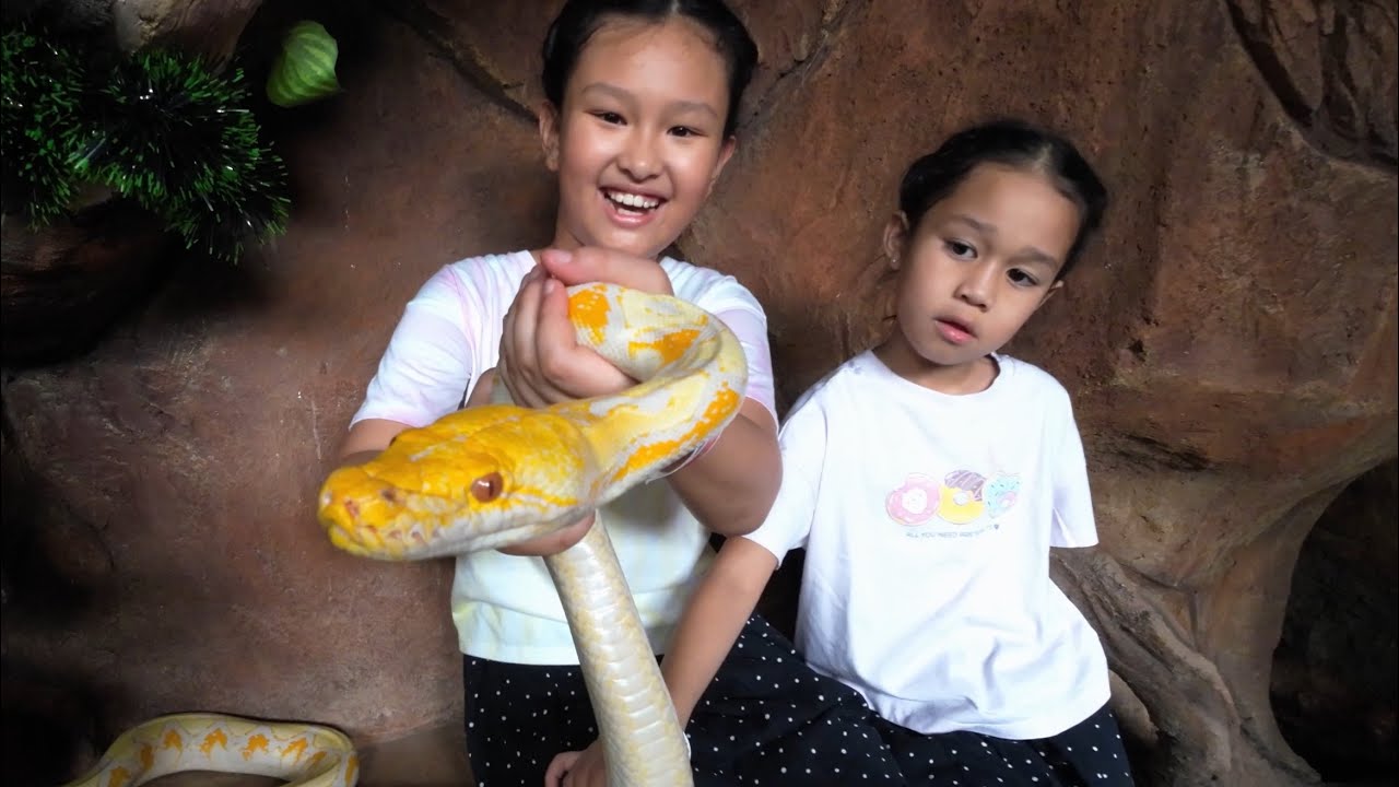 Malang, Java Adventure Part 1 - Visiting Daddy’s Buddy, Day Trip to Batu Jatim 2 Theme Park Dec 25