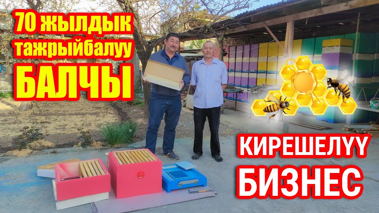 Токтогулда БАЛ ААРЫ 🐝 багабыз ~ Караганды үйрөтөм, пайдасы көп дейт