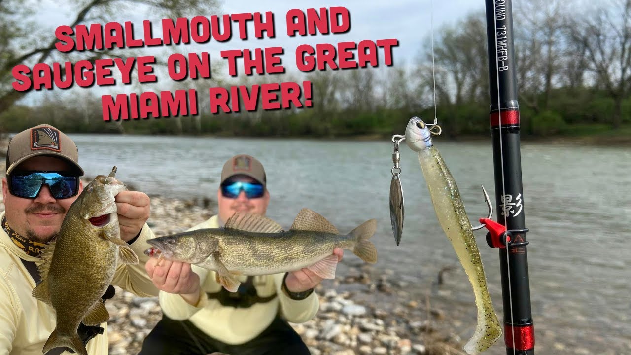 Smallmouth Bass AND Saugeye are heating up on the Great Miami River!