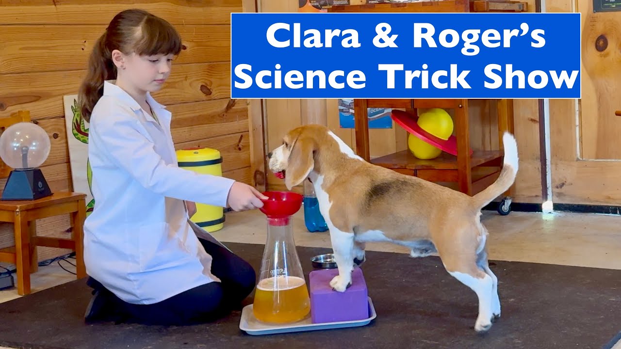 Welcome to Science Class! 2024 AKC Trick Dog National Competition