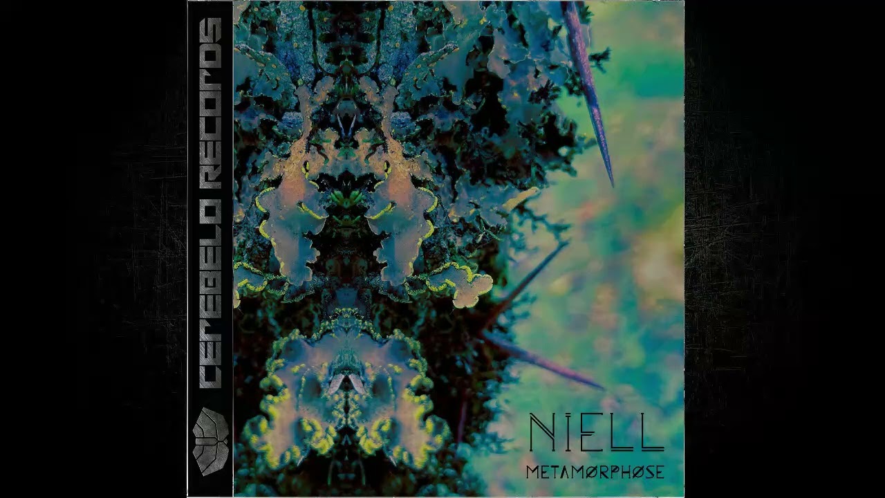 Niell - Metamorphose (Original mix)