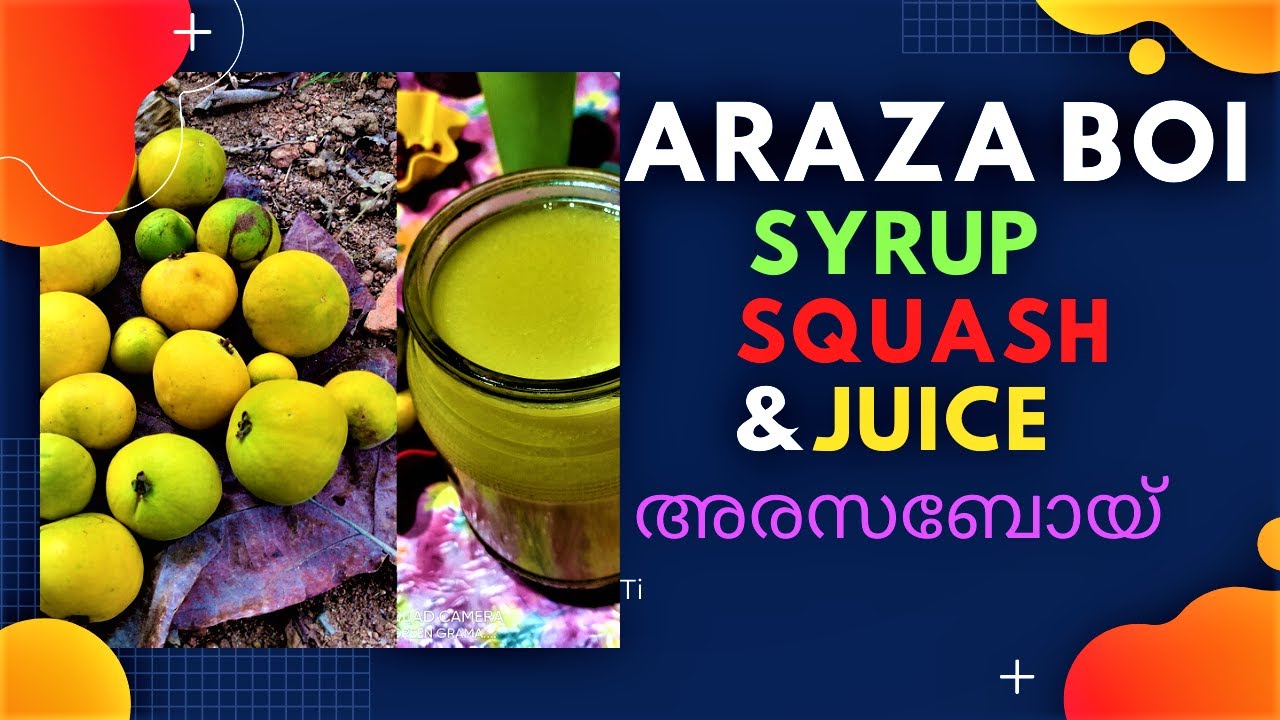 അരസബോയ് സിറപ്പ്ജ്യൂ,സ് & സ്ക്വാഷ് എങ്ങനെ ഉണ്ടാക്കാം ?HOW TO MAKE   ARAZA BOI SYRUP JUICE & SQUASH ?