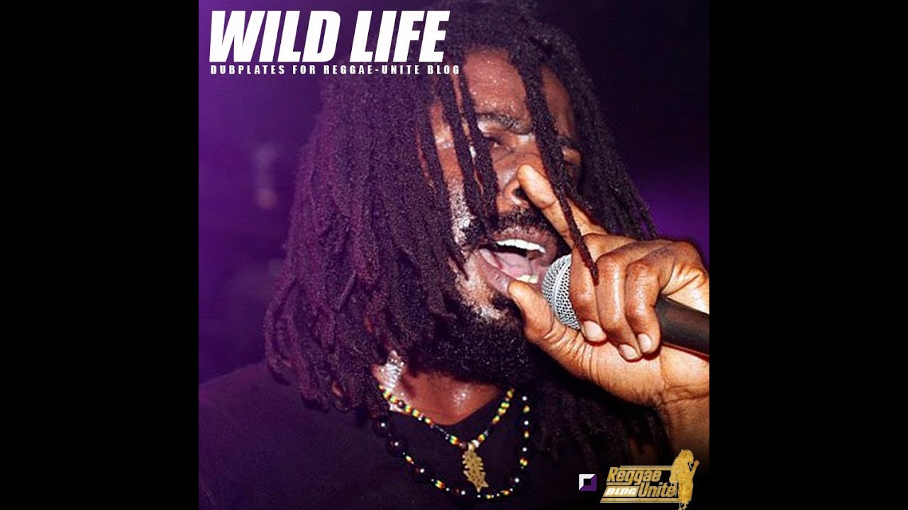 Wild Life-Gyanga Town (Youth Riddim)-Dubplate for Reggae-Unite Blog  (Avril-2011)