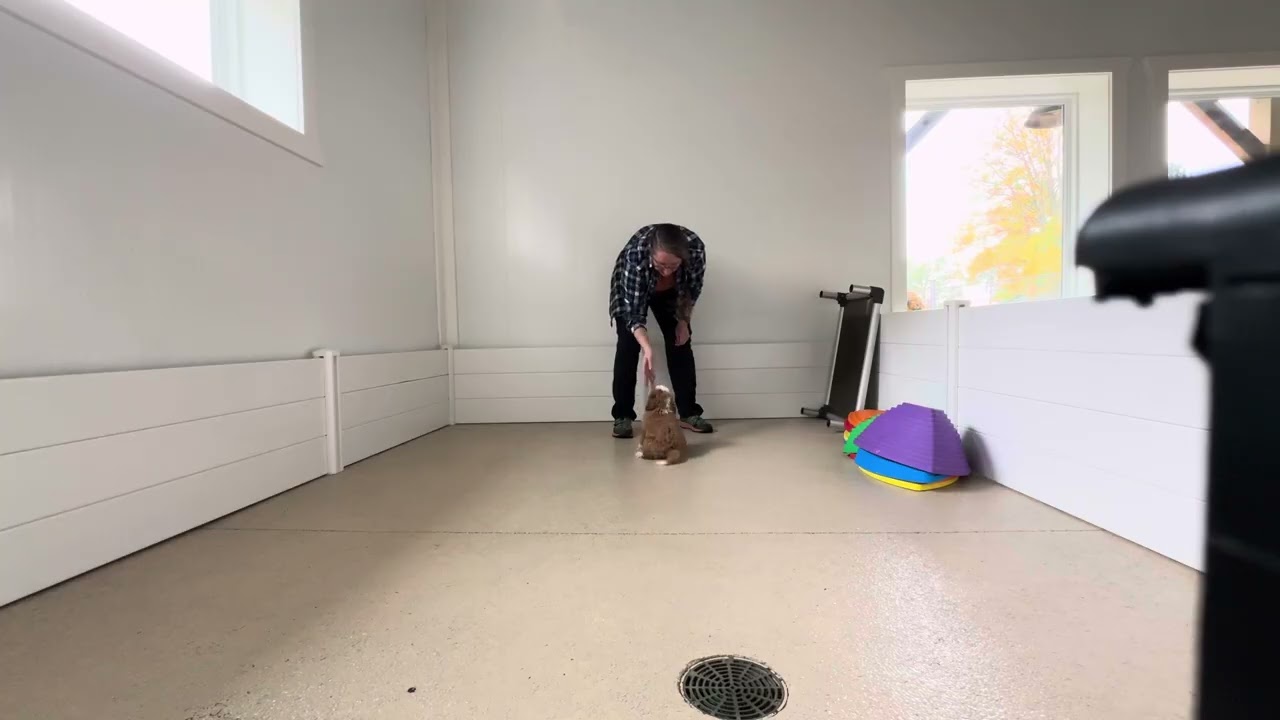 Ruby Training Session 10/22
