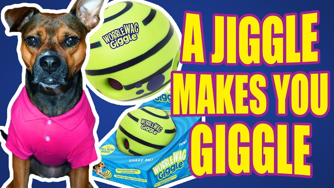 This toy is hilarious! | DOG TOY REVIEWS | Wobble Wag Giggle Ball Dog Toy