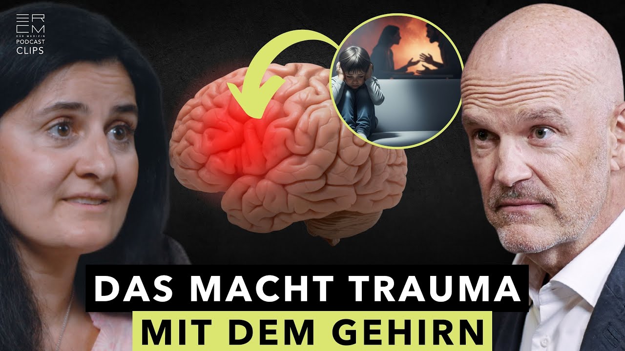 So verändert Trauma das Gehirn | Dr. Aylin Thiel