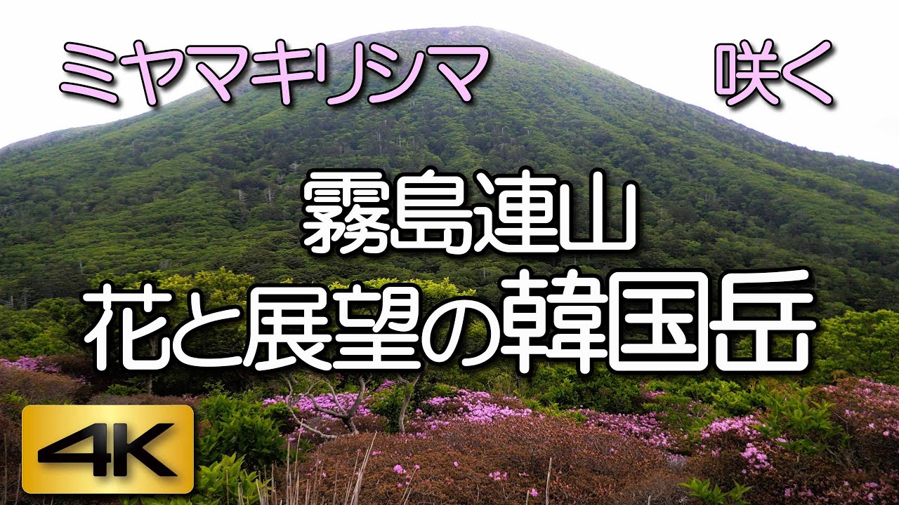 霧島連山・最高峰。ミヤマキリシマと展望の韓国岳