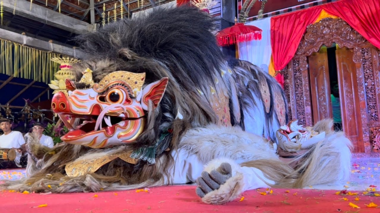 BARONG BANGKUNG AYU LENDRIS TAMPIL HEBOH DI TABANAN BALI