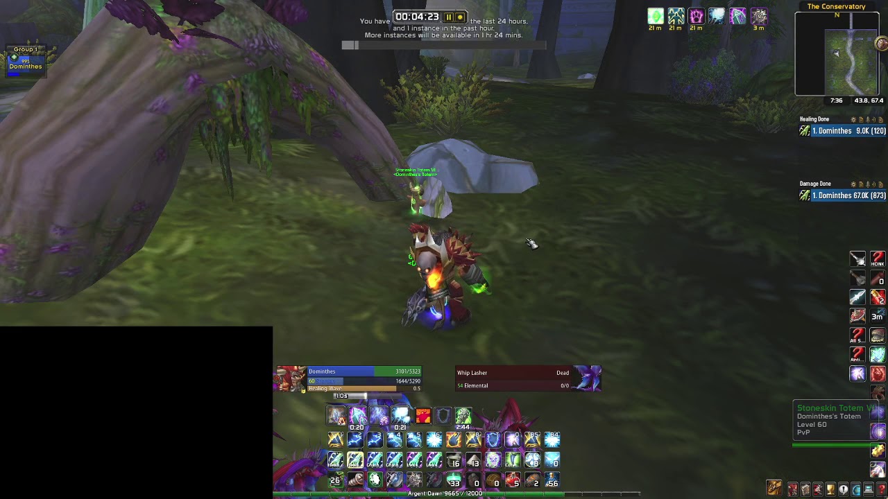 Classic Wow Shaman Lasher AOE Farm