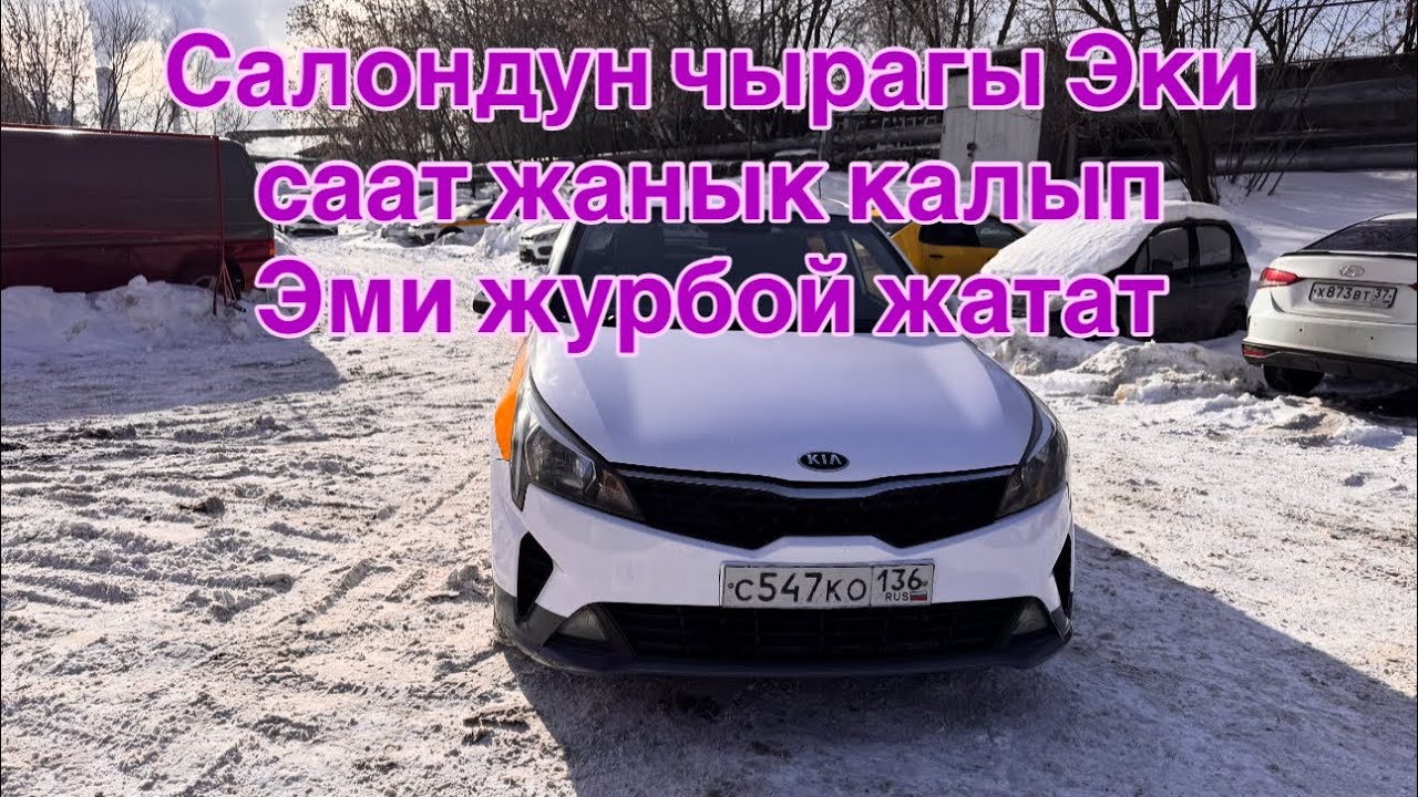 11 марта 2026 г.