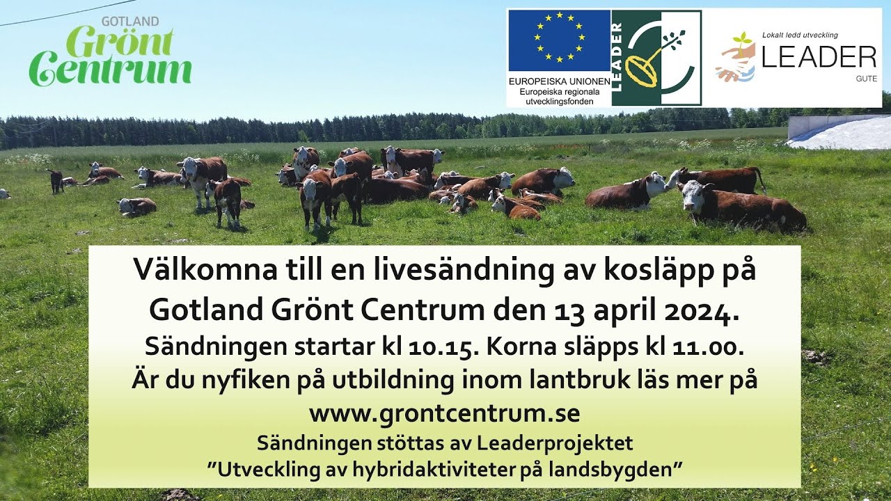Kosläpp 2024