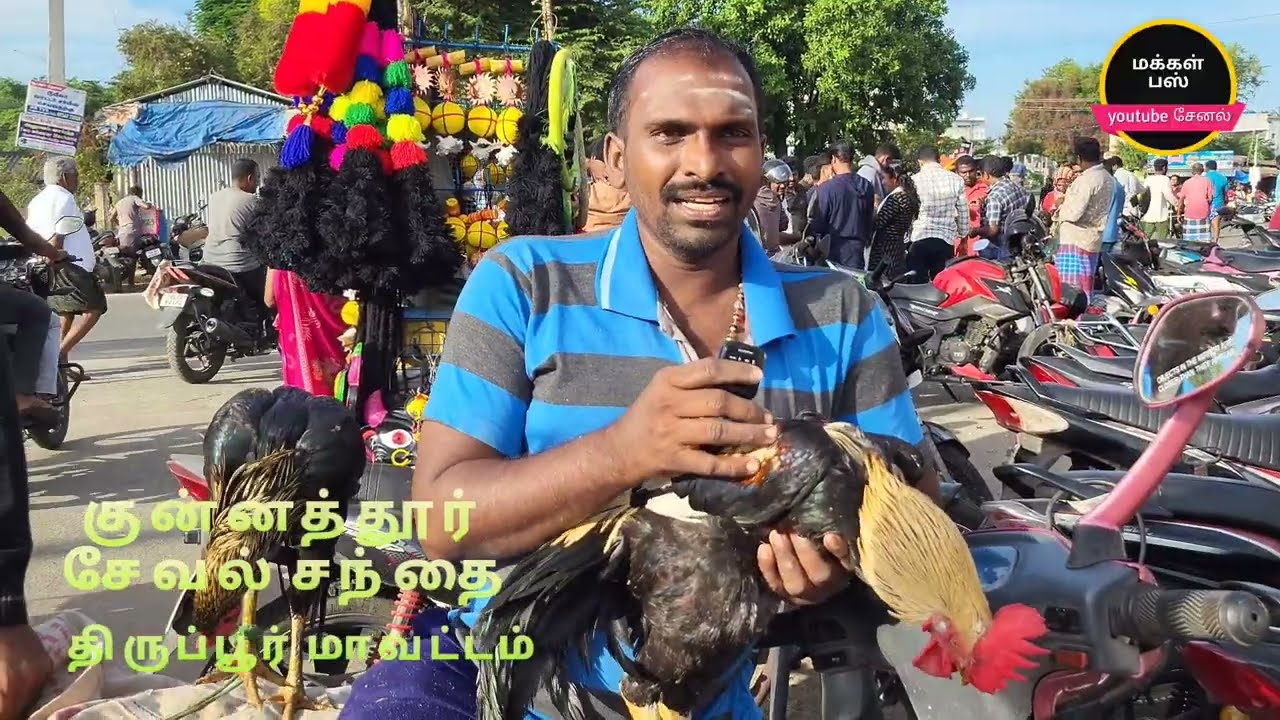 வளர்ப்பு கோழிக்குஞ்சுகள் அதிகளவில் குன்னத்தூரில்#குன்னத்தூர் #கோழி #goat @makkalbusமக்கள்பஸ் 