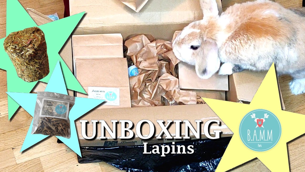 {Unboxing} Je teste les produits Bamm !