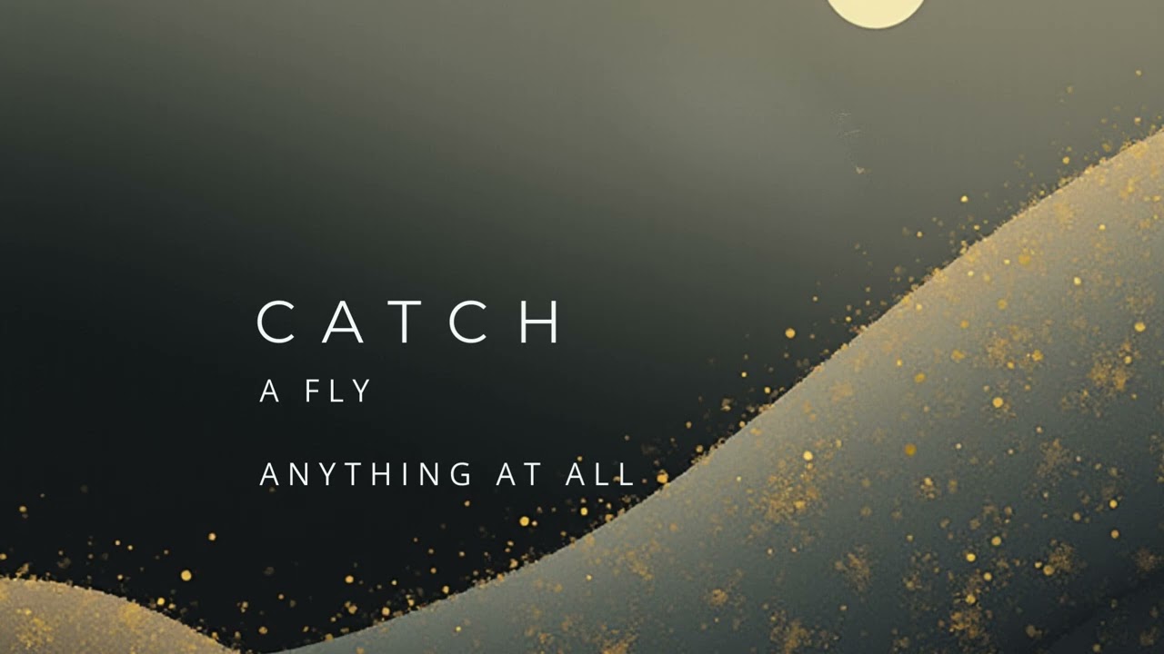 Catch a Fly - Anyting At All