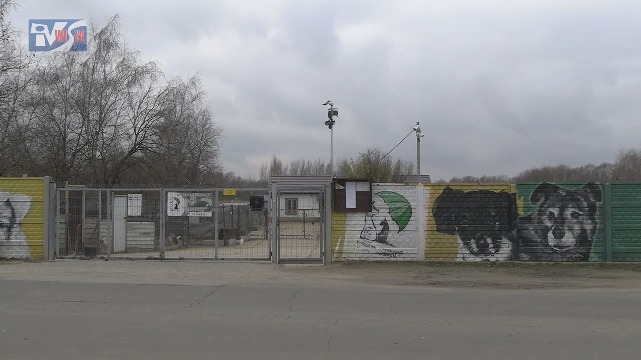 KONFLIKT W TARNOBRZESKIM STOWARZYSZENIU CHROŃMY ZWIERZĘTA