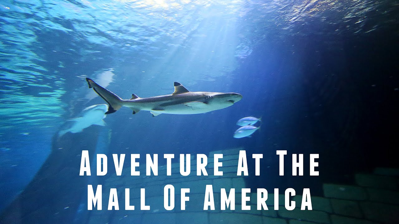 Adventure at the Mall of America