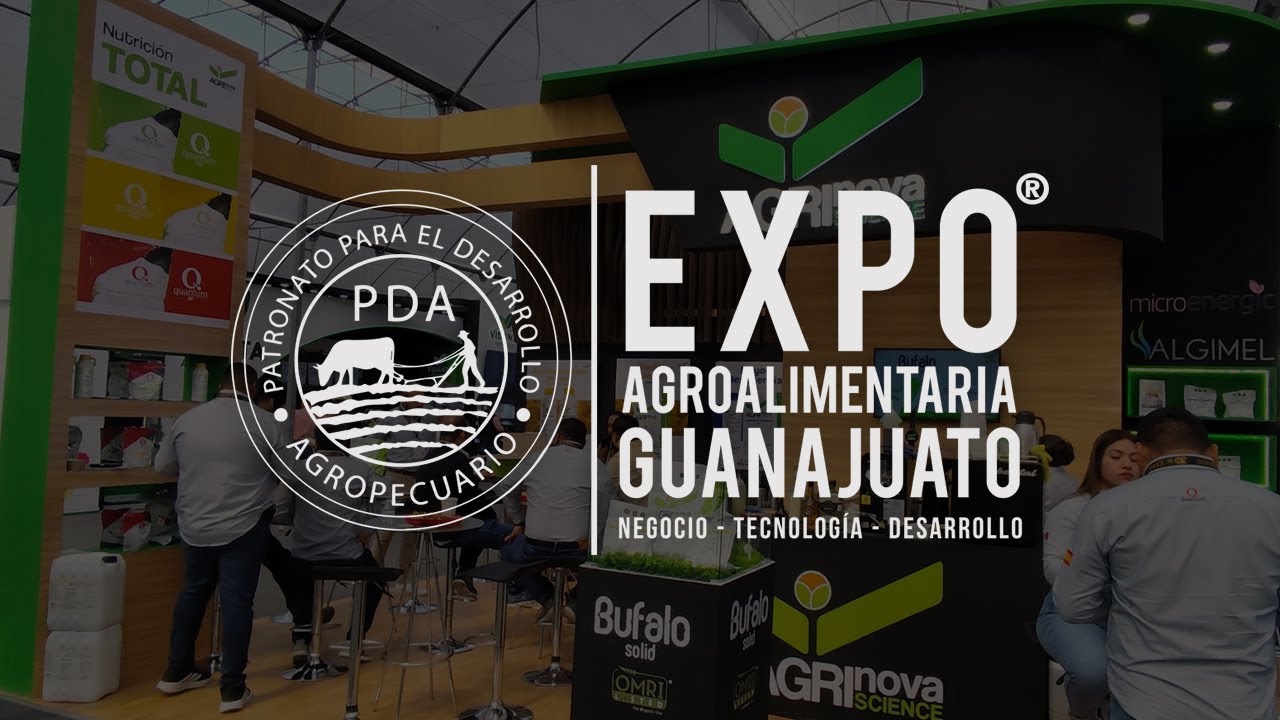Cómo mejorar la fertilidad del suelo con BUFALO SOLID | Agricultura orgánica certificada