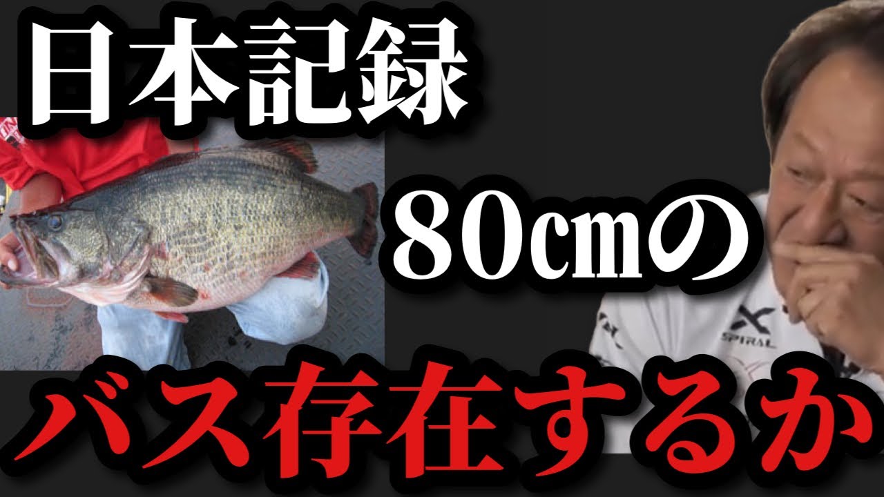 【村田基】日本で80センチのバスは存在するのか【村田基切り抜き】