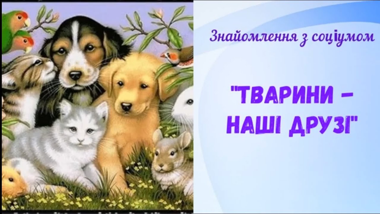 Ознайомлення з соціумом. 