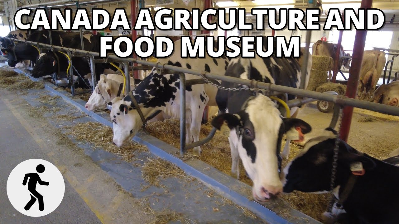 ⁴ᴷ⁶⁰ Walkthrough the Canada Agriculture and Food Museum in 10 Minutes