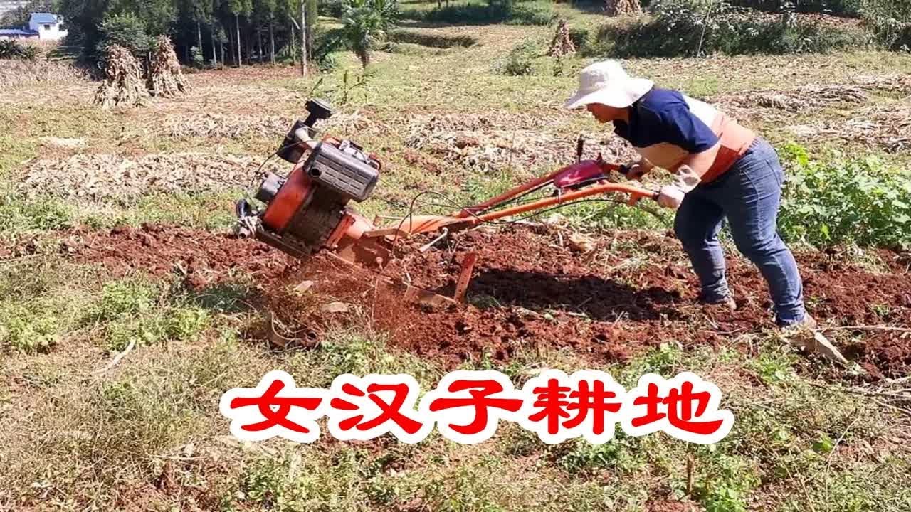 农村小型耕地机，用不好就会&ldquo;吃人&rdquo;，操作起来要十分小心