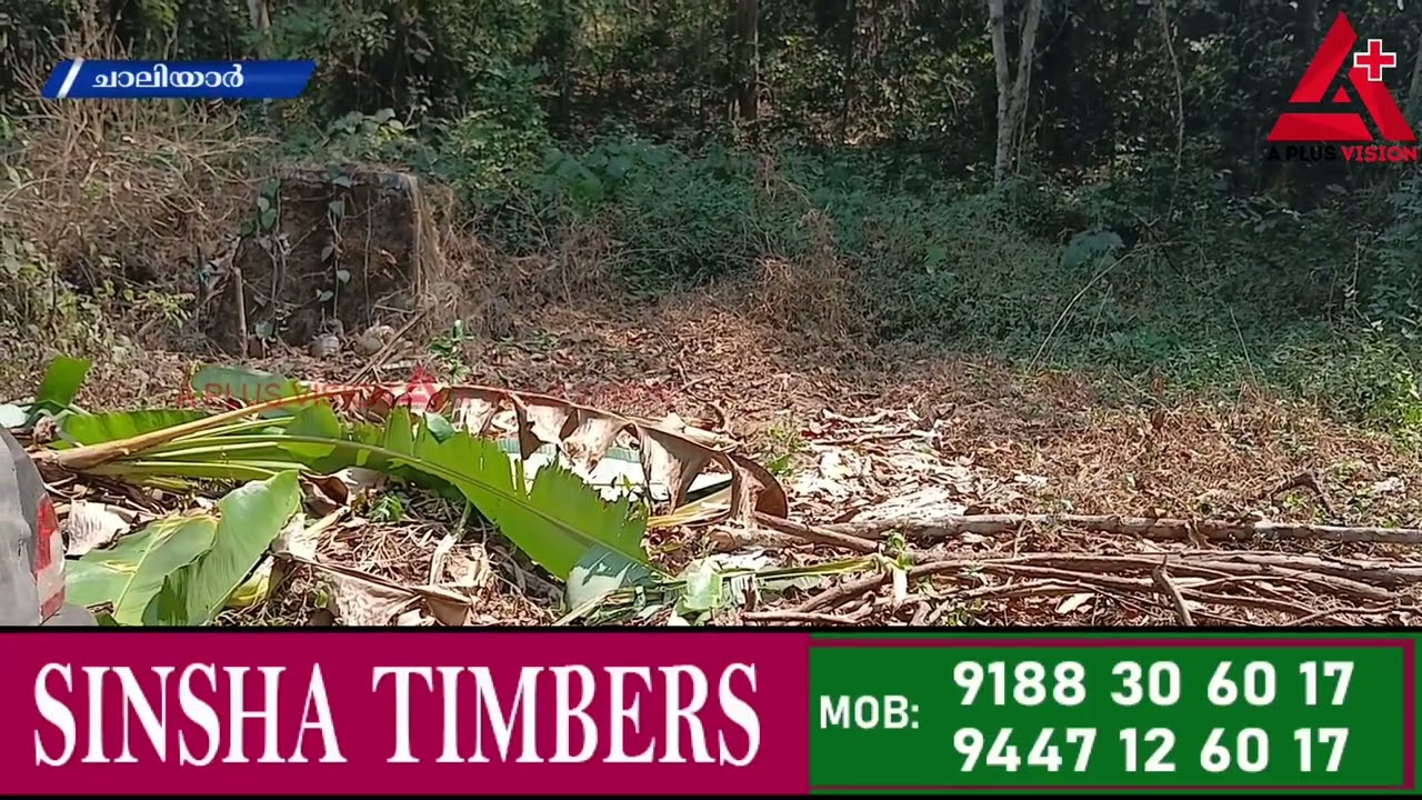 കാട്ടാനകൾ വീട്ടുമുറ്റങ്ങളിലേക്ക്...  വയോധികൻ കാട്ടാനയുടെ മുൻപിൽ നിന്നും രക്ഷപ്പെട്ടത് മുടിനാരിഴക്ക്