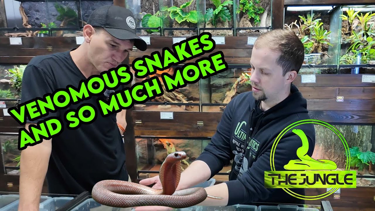 Это лучший магазин рептилий в Южной Африке? | Ultimate Exotics Reptile Store