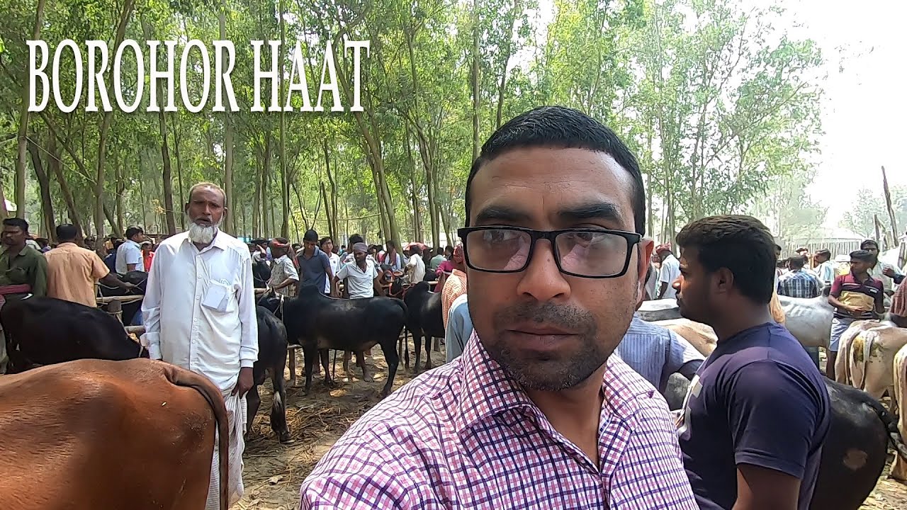 We Buy An Ox From Borohor Haat | Animal Market in Sirajganj