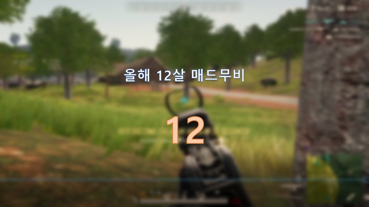 11살 배그 라이트 매드무비