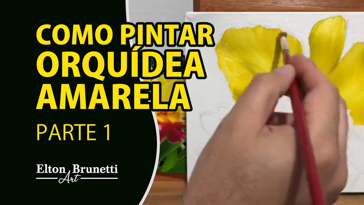 Como pintar Orquídea Amarela - Parte 1 | Elton Brunetti