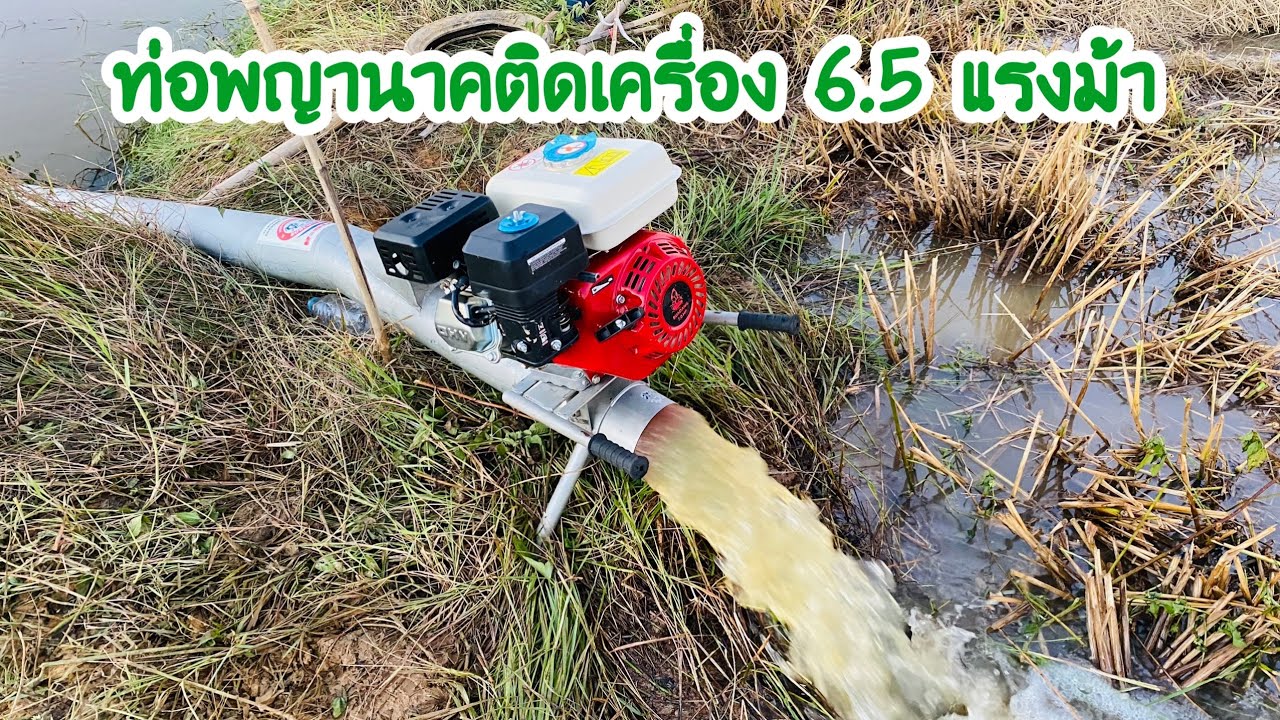 ท่อสูบน้ำพญานาค  ติดเครื่อง 6.5 แรงม้า น้ำมาเต็มท่อ #ท่อพญานาค #diy #ฟาร์มอ้นบ่าวเดชนครพนม ขายท่อ