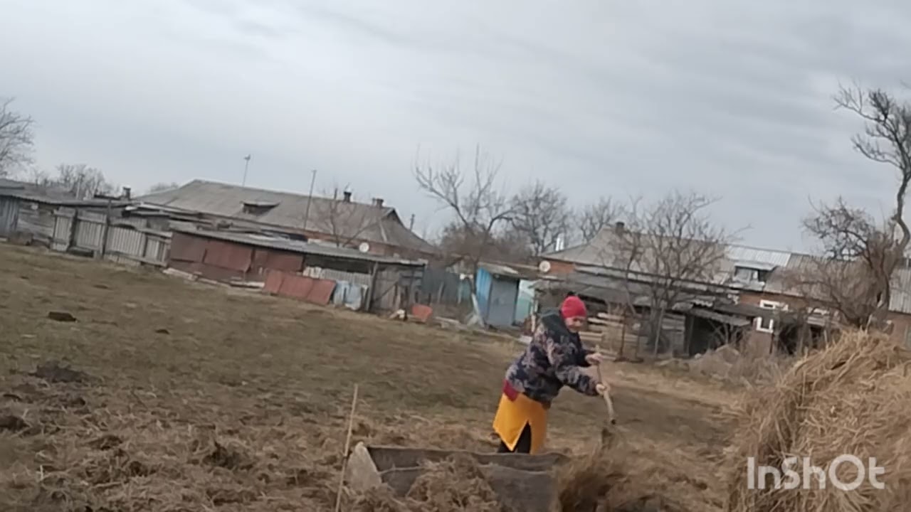 Поработаем? А потом вкусные чебуреки с интересной начинкой.