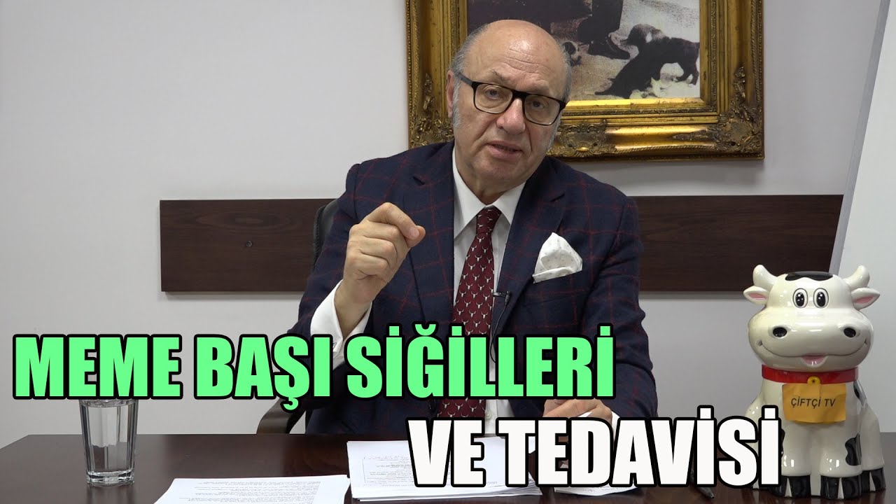 Parazit Mücadelesi Nasıl Olmalı? / Meme Başı Siğilleri ve Tedavisi - Dersimiz Hayvancılık