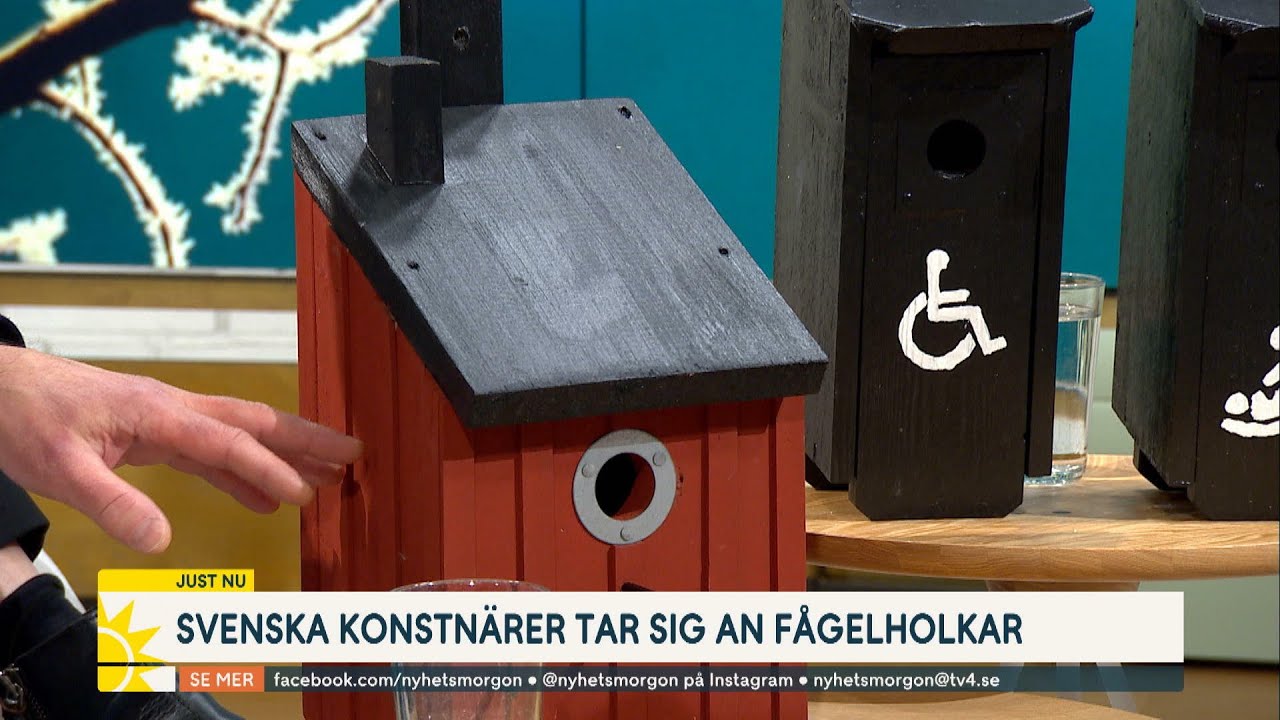 Svenska konstnärer tar sig an fågelholkar: ”De har helt fria händer” | Nyhetsmorgon | TV4 & TV4 Play