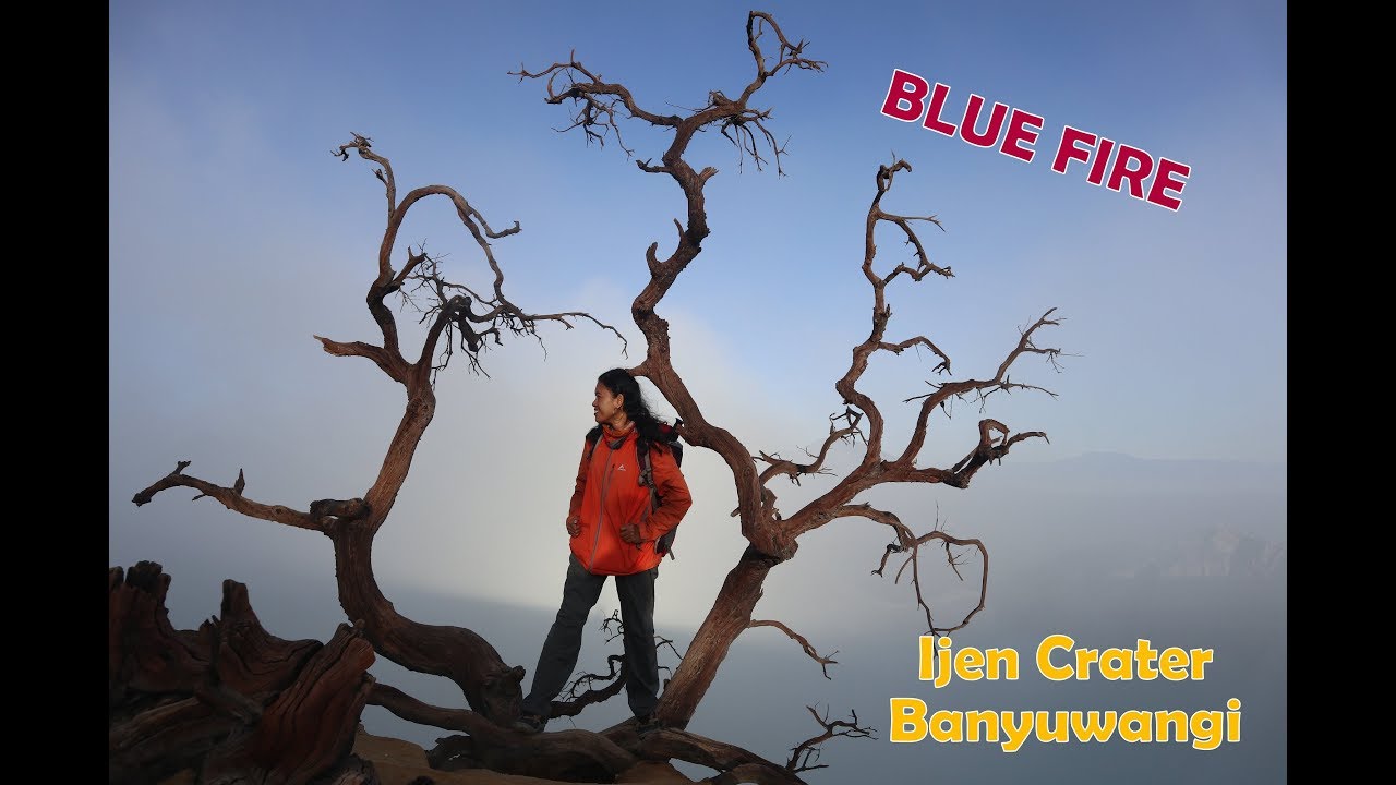 Chasing the Blue Fire: A Hike to the Heart of the Ijen Crater