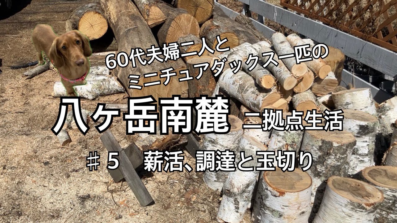 山の暮らしで､薪ストーブは楽しみでもあり必需でもあり　♯5 薪活と呼ばれる薪の調達と玉切り
