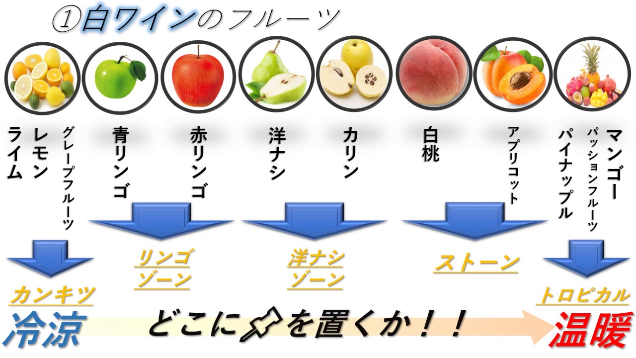 【ソムリエ２次試験対策】テイスティングを最速最短で習得する！？