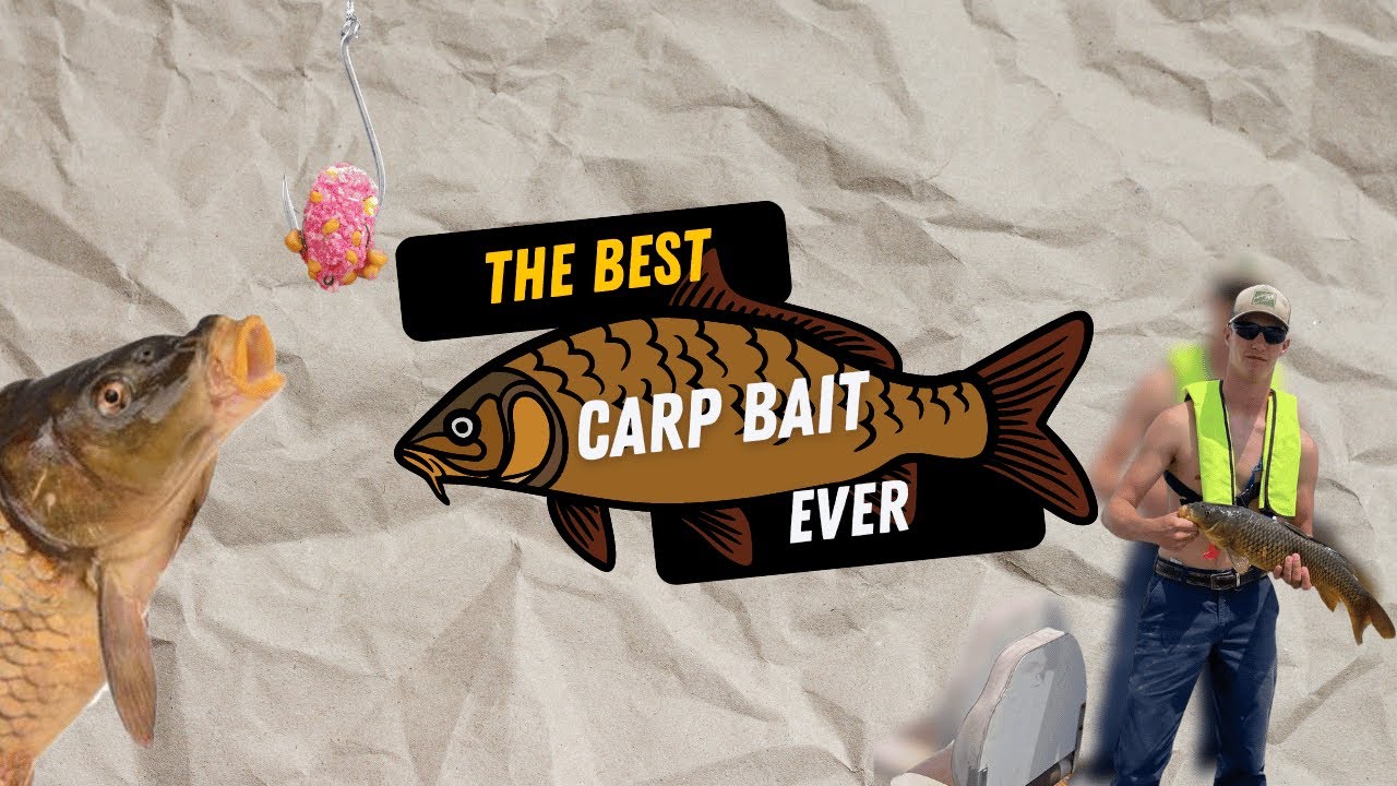 A CARP BAIT that really works!! DIY
