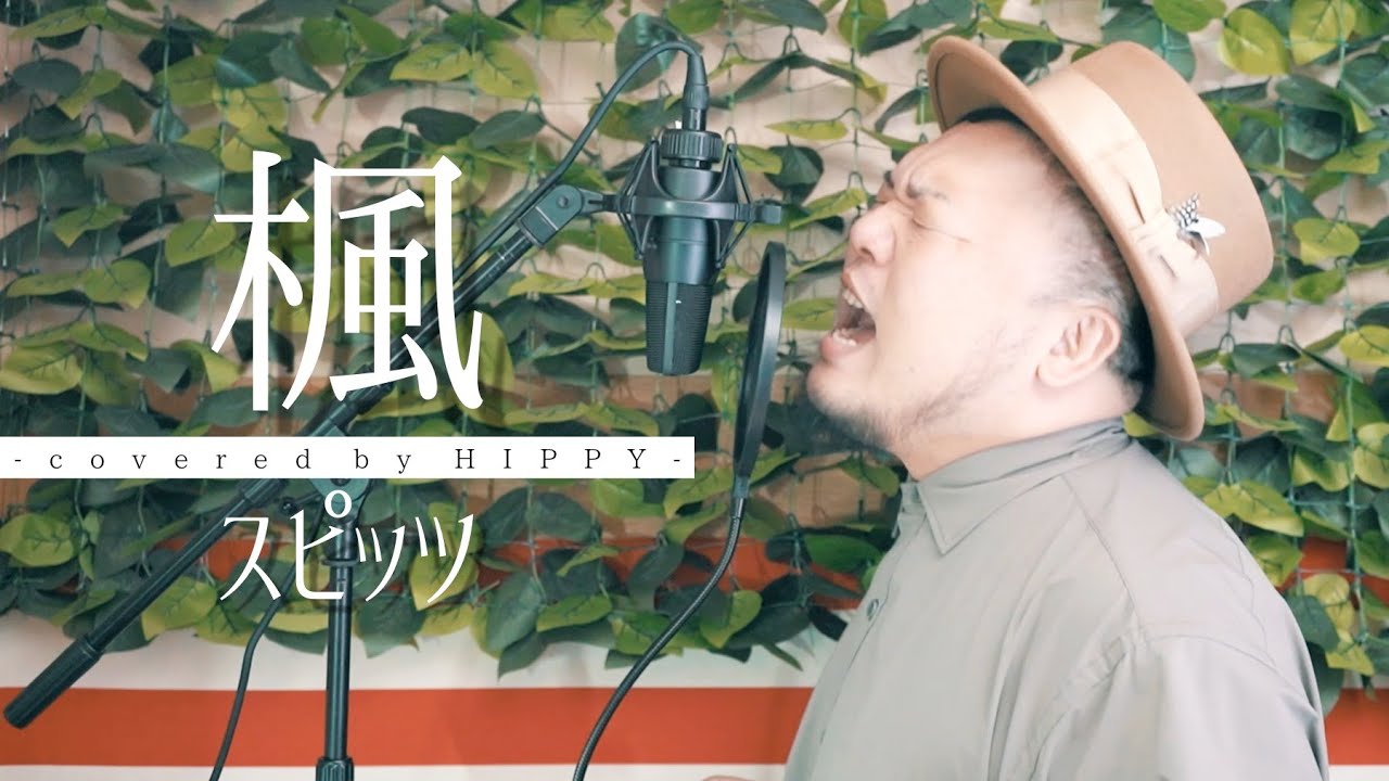 スピッツ / 楓　（Coverd by HIPPY）