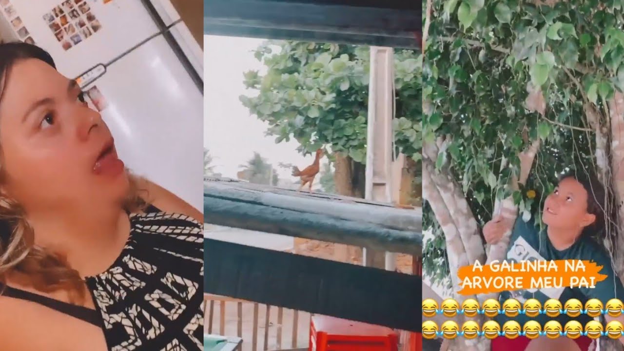 MARI CORRE ATRÁS DAS GALINHAS - Turma do Luelves