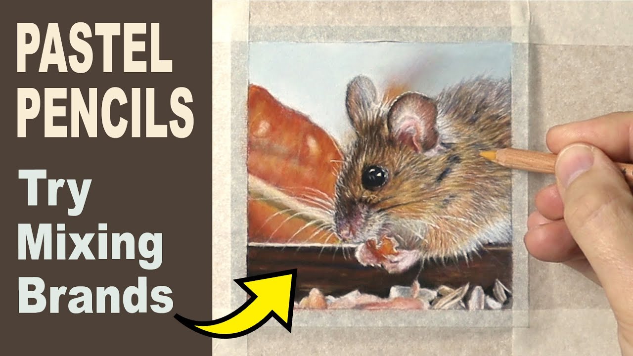 Pastel Pencil Tutorial... Why I Mix Different Brands | How to Draw a Realistic Mouse.