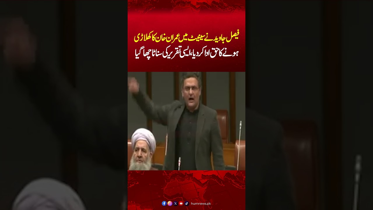 Historic Speech | PTI's Faisal Javed Blasting Speech In Senate In Favor Of Imran Khan | Hum News