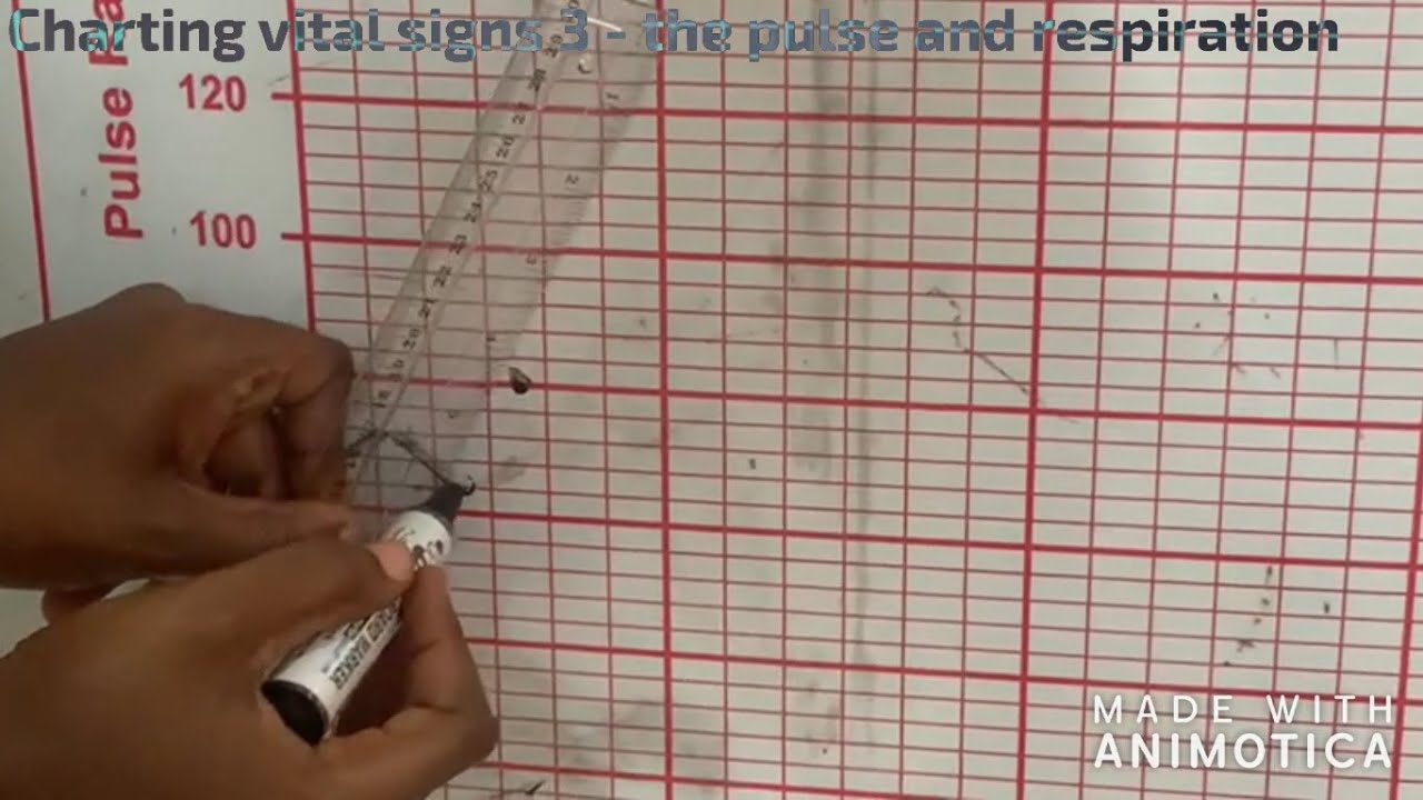 Charting vital signs 3 - the pulse and respiration @nursingart247