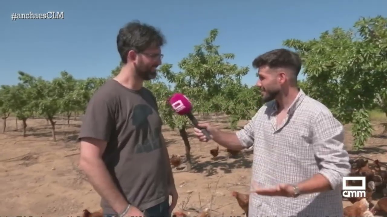5.000 gallinas campan a sus anchas en esta granja de huevos de Gálvez | Ancha es Castilla-La Mancha