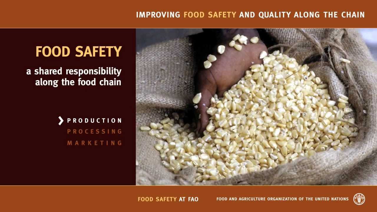 Improving Food Safety and Quality along the chain