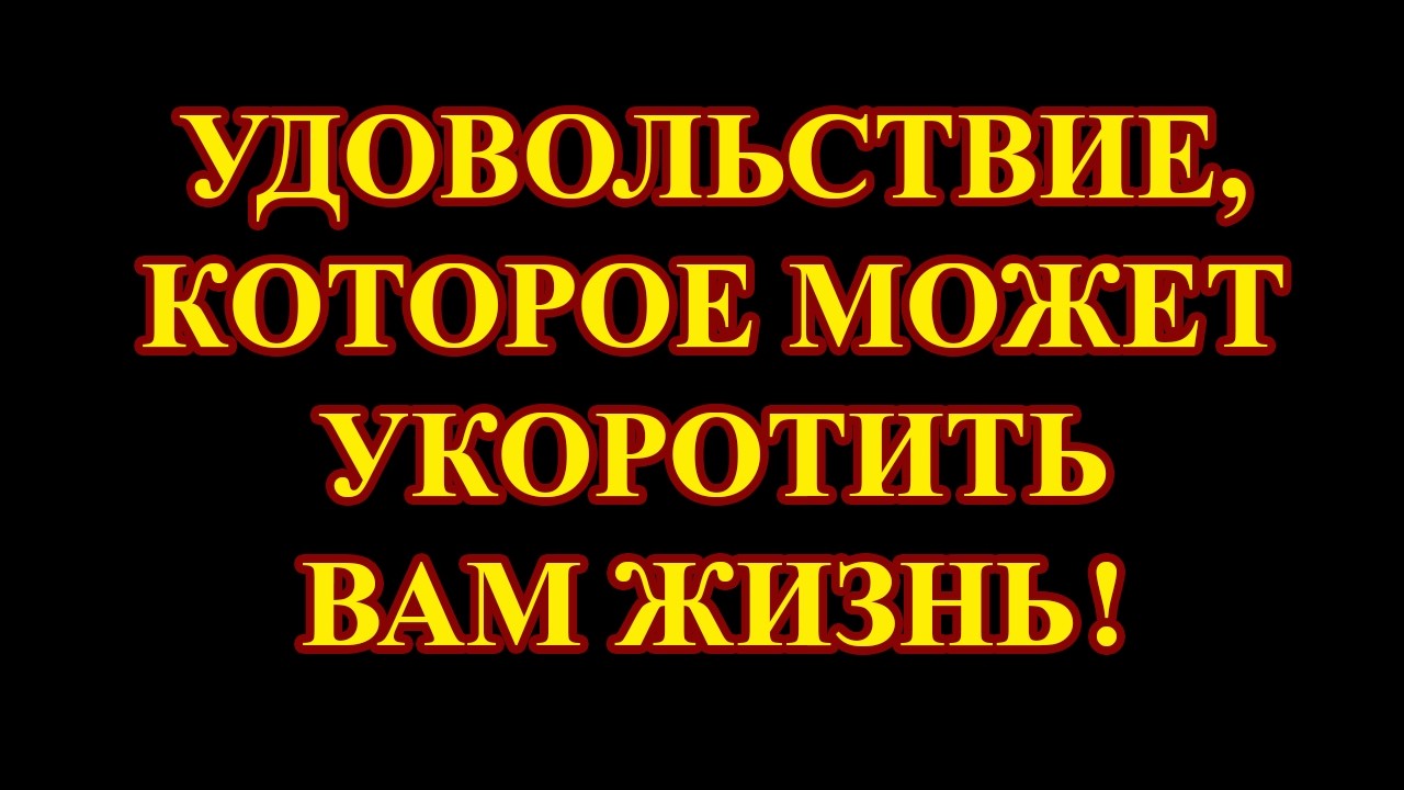 Домашние животные, к сожалению, приносят не только радость. Хотите вы этого или нет.