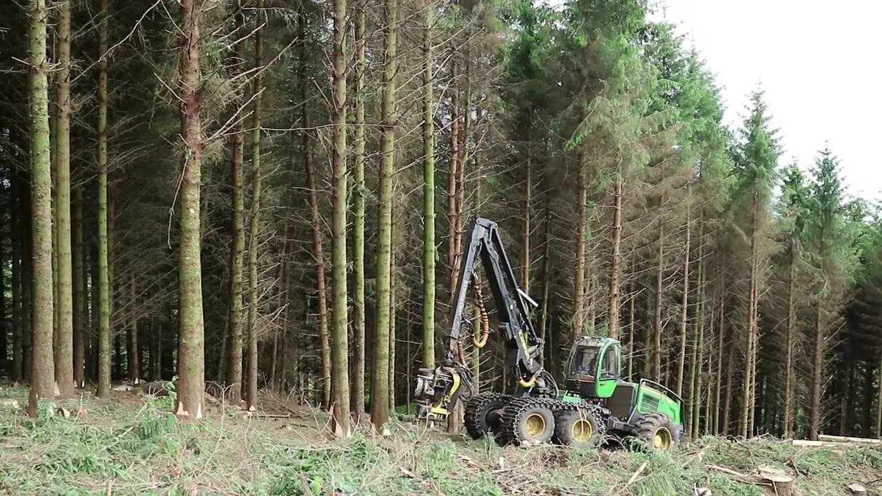 Clearing forestry with Roundwood Forestry and Timber Services