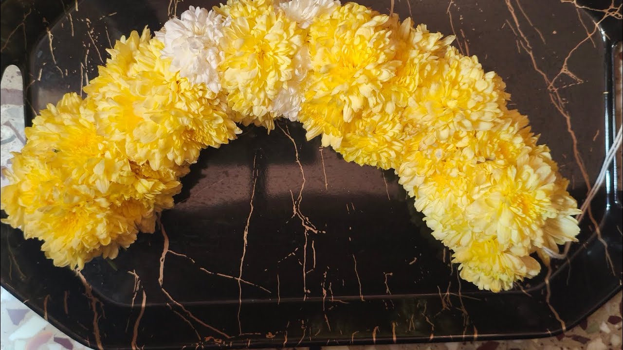 How to tie sevanthi flower garland with thread and needle#ಸೂಜಿ ದಾರದಿಂದ ಸೇವಂತಿ ಹೂ ಕಟ್ಟುವ ವಿಧಾನ