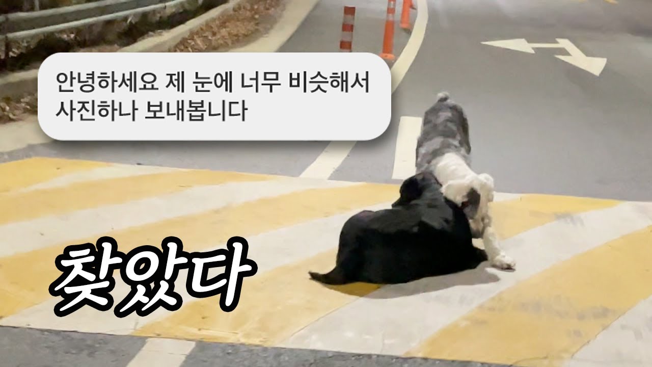 세상에 비밀은 없다